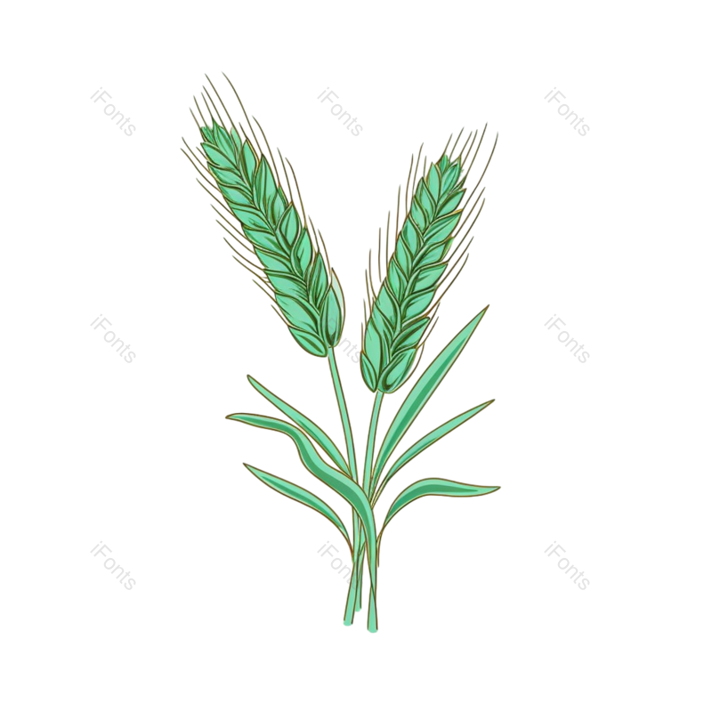 芒种图片,小满元素,麦子PNG,丰收免抠素材